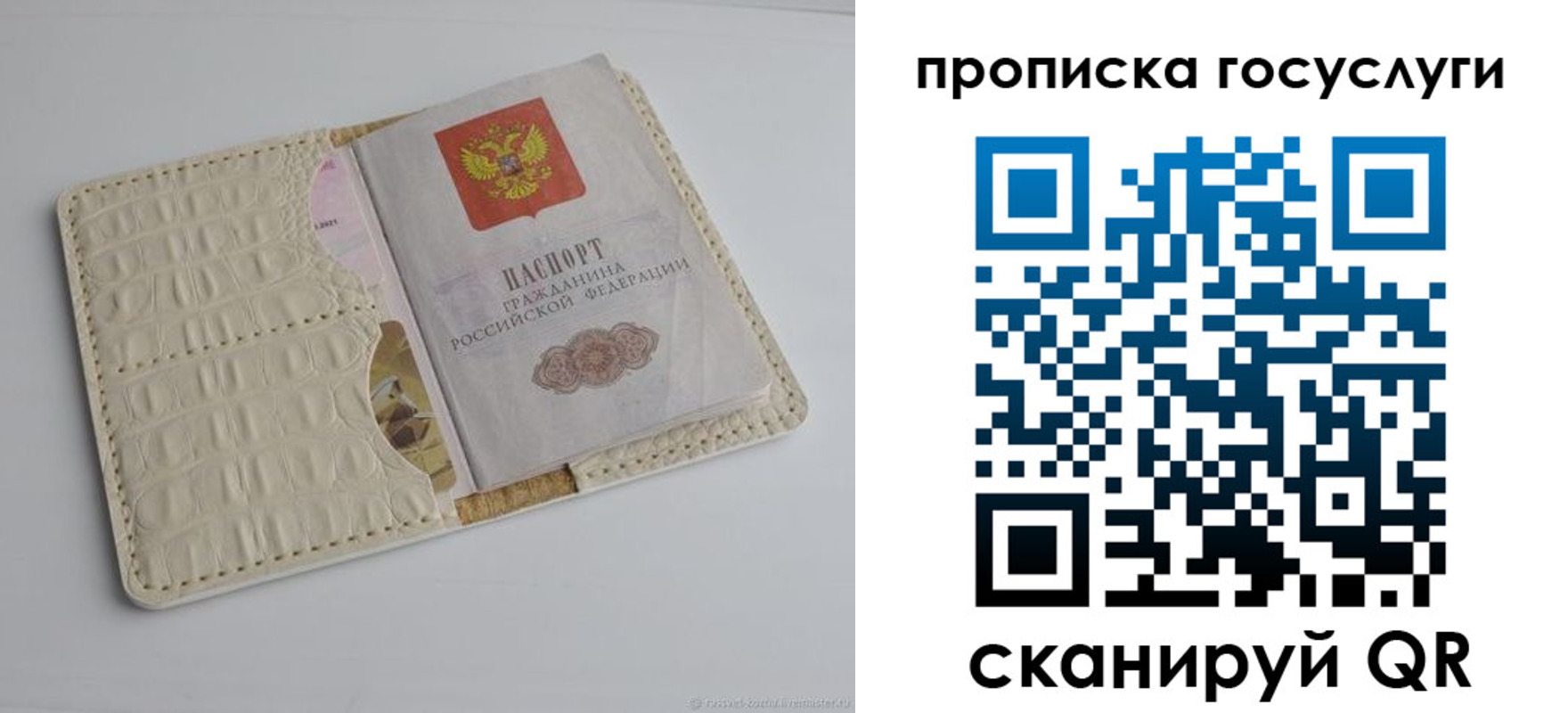 прописка в Сланцах