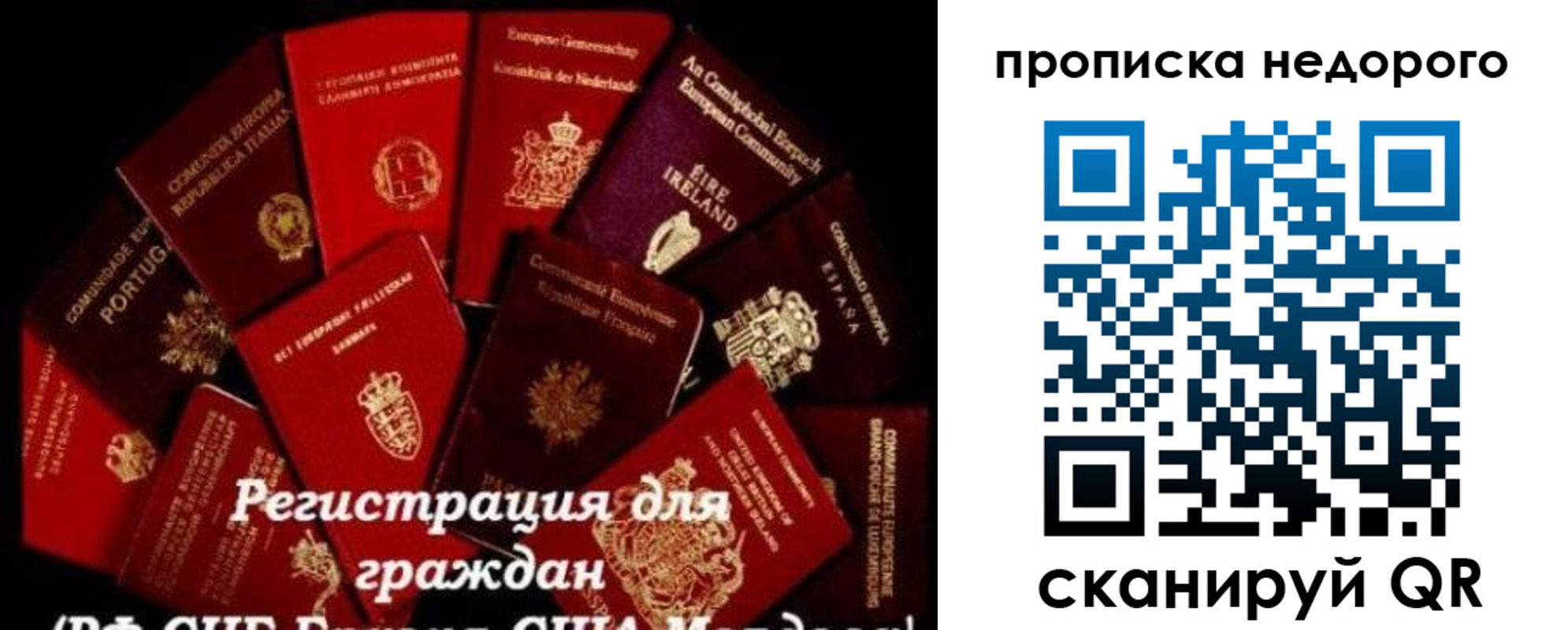 временная регистрация недорого в Сланцах